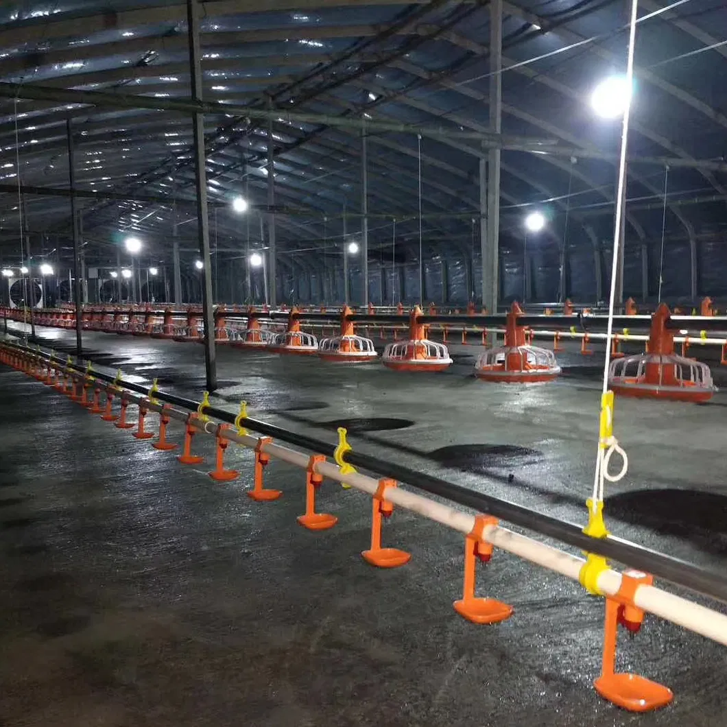 Chicken Farm Equipment Automatic for Chicken House Poultry Farm Livestock