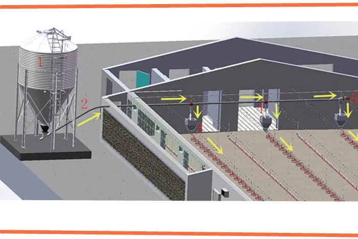 Chicken Farm Equipment Automatic for Chicken House Poultry Farm Livestock