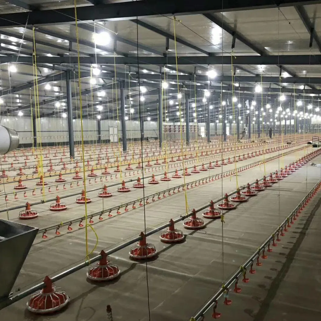 Chicken Farm Equipment Automatic for Chicken House Poultry Farm Livestock