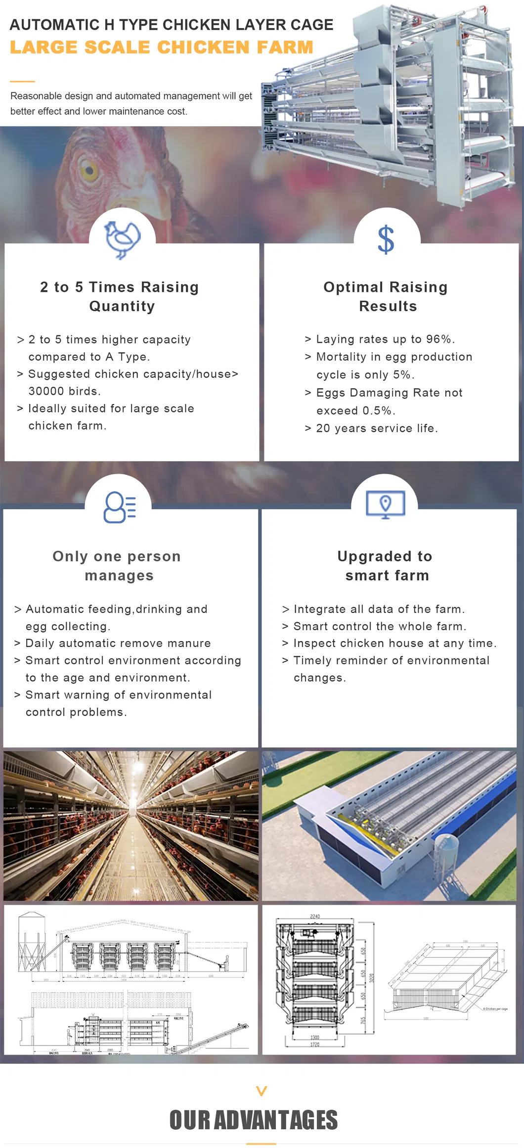 Chicken laying hens poultry battery cages for sale