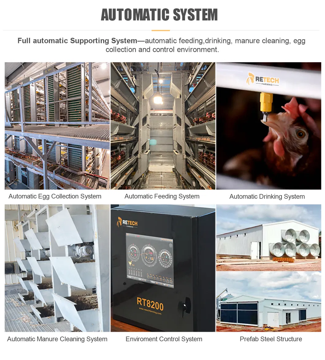 Chicken laying hens poultry battery cages for sale