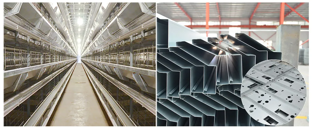 Chicken laying hens poultry battery cages for sale