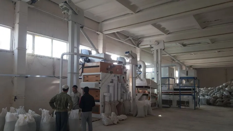 Chickpea Lentil Soya Mung Bean Sesame Seed Processing Plant (5X)
