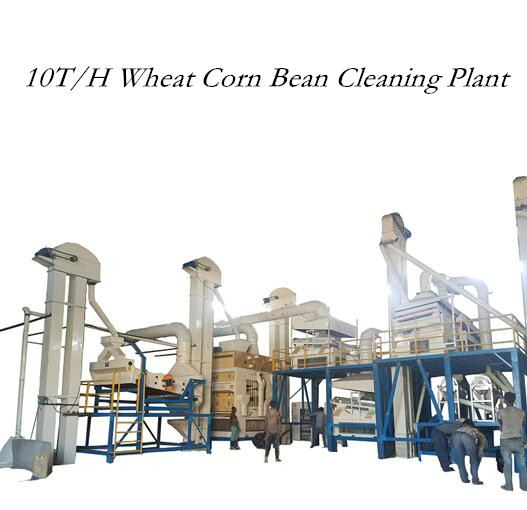 Chickpea Lentil Soya Mung Bean Sesame Seed Processing Plant (5X)