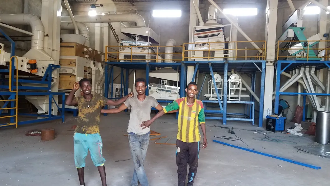 Chickpea Lentil Soya Mung Bean Sesame Seed Processing Plant (5X)
