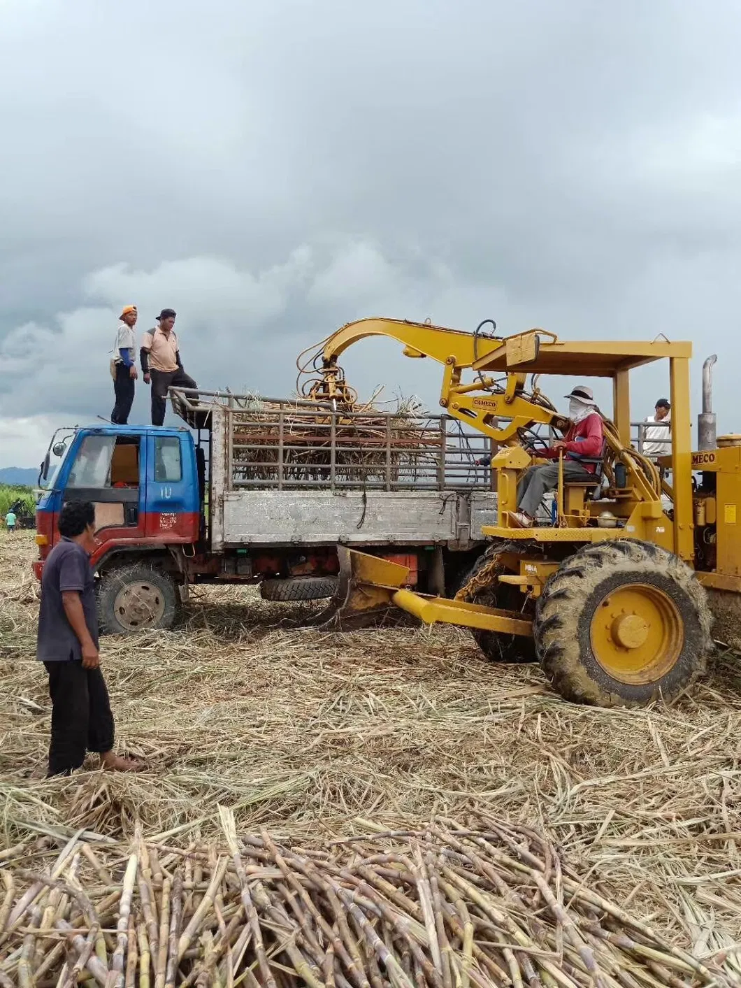 China Factory Directly Sugarcane Harvester for Sale Sugar Cane Harvester