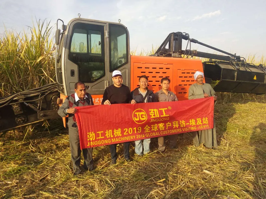 China Factory Directly Sugarcane Harvester for Sale Sugar Cane Harvester