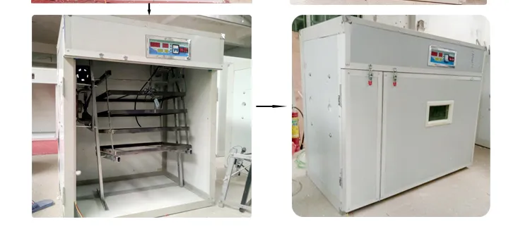 China Supplied Digital Reptile Parrot Chicken Eggs Incubator Hatching Machine