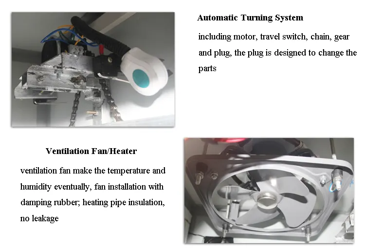 China Supplied Digital Reptile Parrot Chicken Eggs Incubator Hatching Machine
