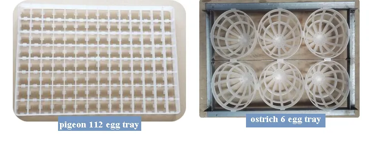 China Supplied Digital Reptile Parrot Chicken Eggs Incubator Hatching Machine