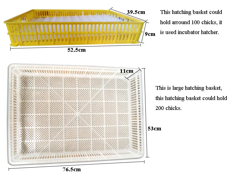 China Supplied Digital Reptile Parrot Chicken Eggs Incubator Hatching Machine