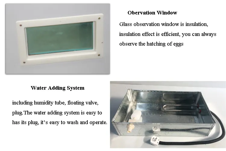 China Supplied Digital Reptile Parrot Chicken Eggs Incubator Hatching Machine