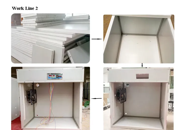 China Supplied Digital Reptile Parrot Chicken Eggs Incubator Hatching Machine