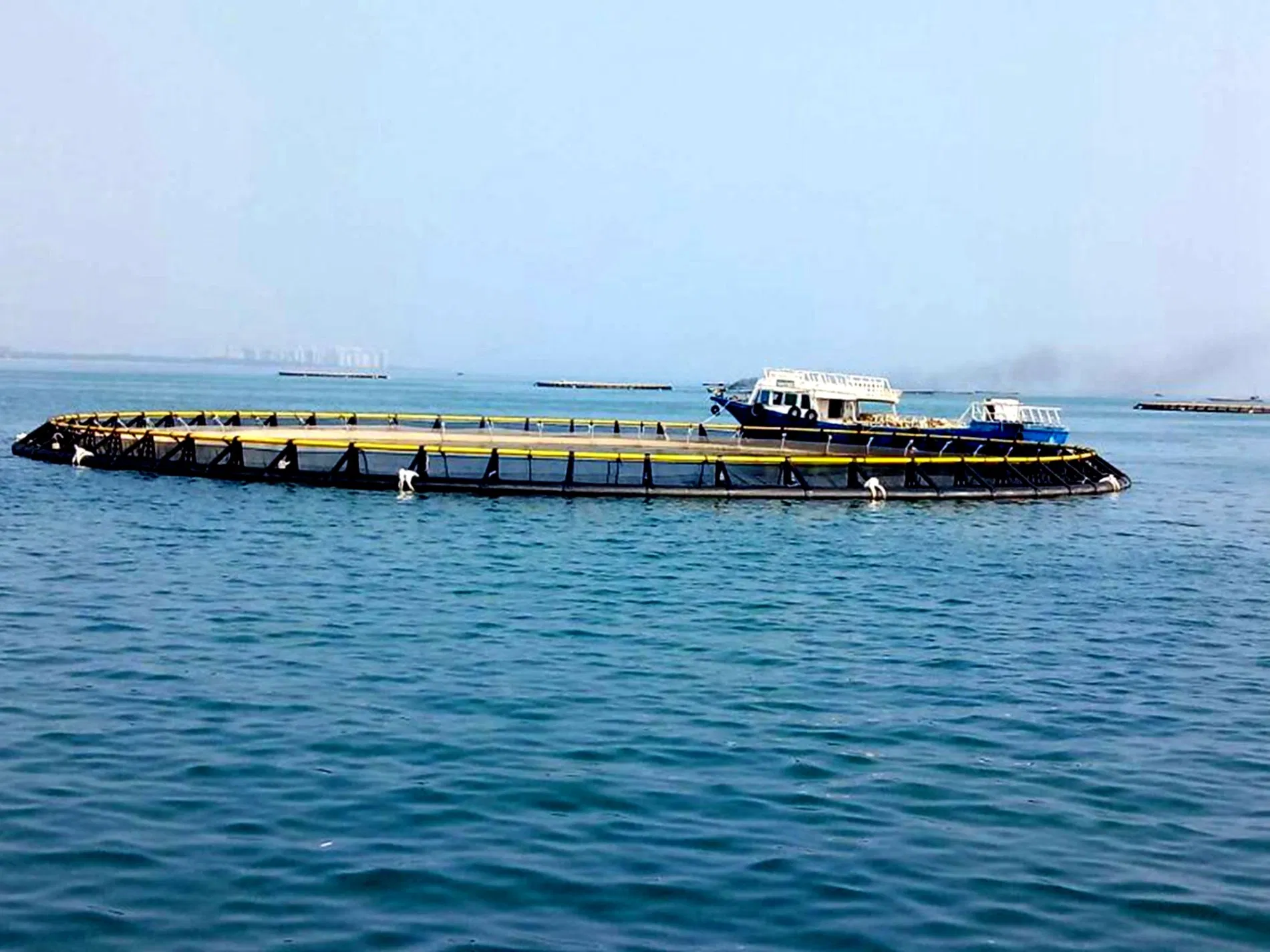 Circular Square HDPE Tilapia Farming Grow out Fish Net Cage