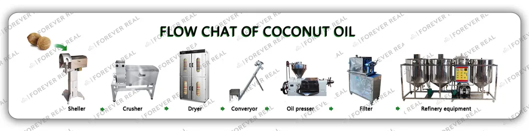 Coconut Small Auto Screw Oil Expeller Soybean Oil Press Machine with High Efficiency