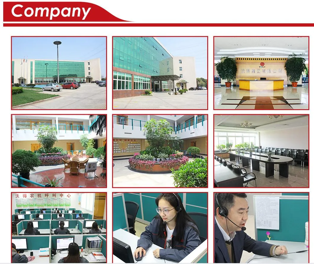 Combine Harvester 4lz-6.0e for Rice, Wheat, Soybean, Corn