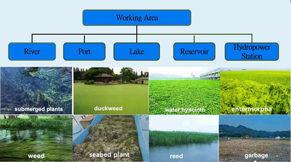 Competitive Price Carbon Steel Mechanical Emergent Weeds Weed Harvester for River in Russia