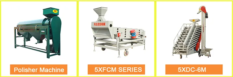 Cost of Rice Milling and Destoning Machine China Manufaturers