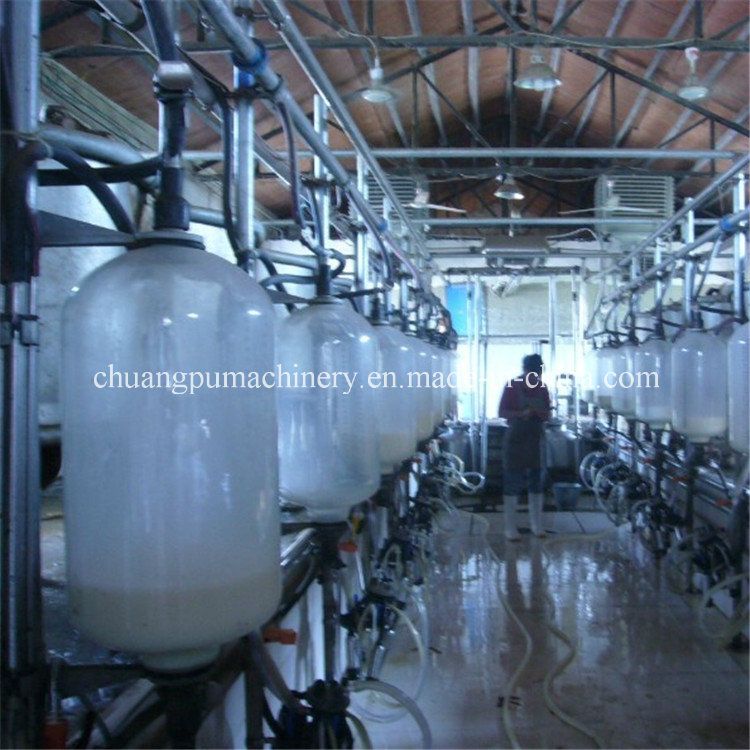 Cow Milking Parlour for Milking of Cow Farm Equipment