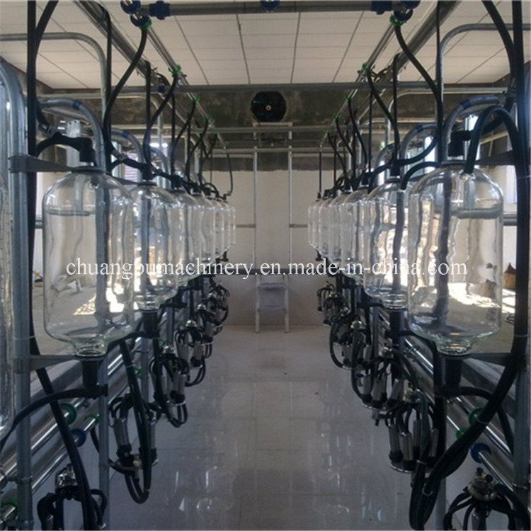 Cow Milking Parlour for Milking of Cow Farm Equipment