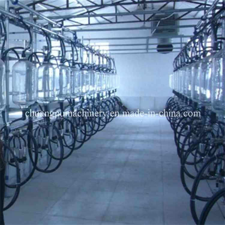 Cow Milking Parlour for Milking of Cow Farm Equipment