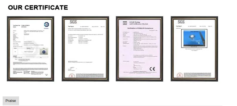 Credit Ocean Pulse-Jet Thermal Fog Machines, Flame Disinfecting Machines