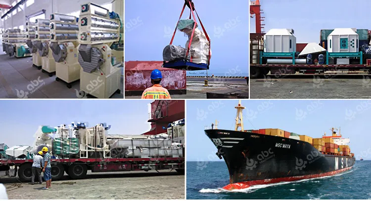 Customize 2t/H Straw Horse Feed Pellet Processing Machine for Philippine