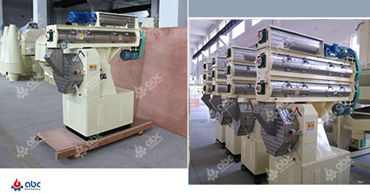 Customize 2t/H Straw Horse Feed Pellet Processing Machine for Philippine