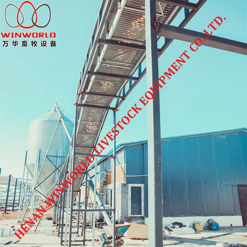 Dar Es Salaam Tanzania Poultry Farm Best Sale Chicken Layer Cages