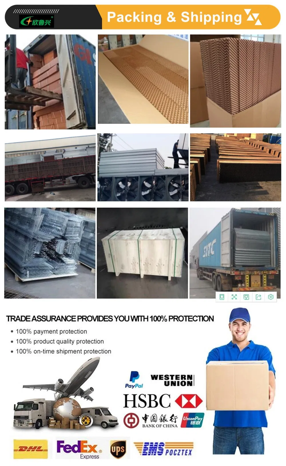 Dar Es Salaam Tanzania Poultry Farm Chicken Layers Battery Cages