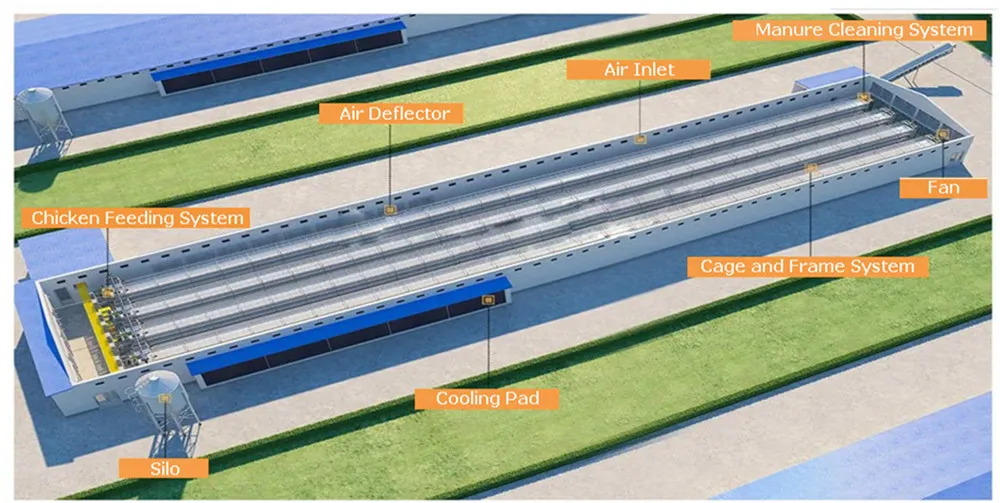 Dar Es Salaam Tanzania Poultry Farm Chicken Layers Battery Cages