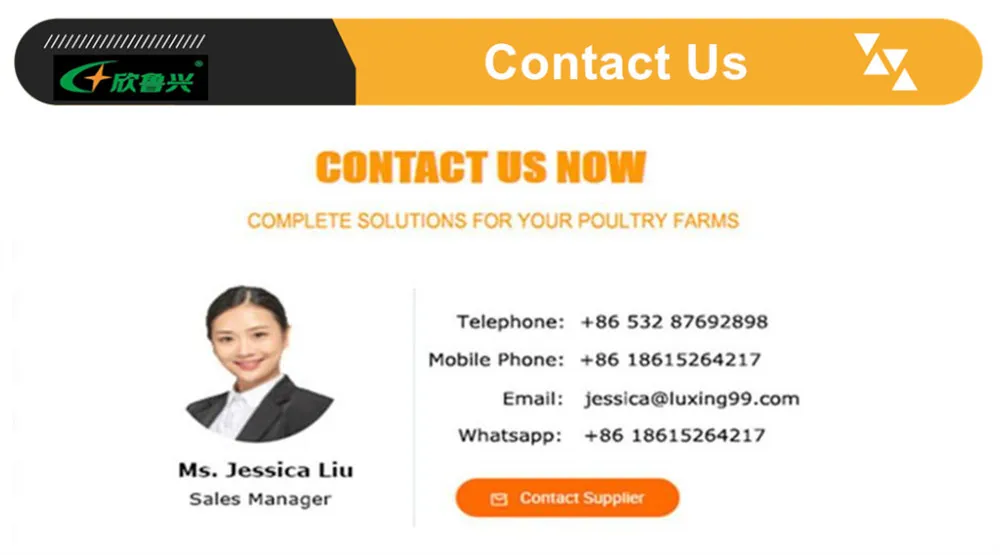 Dar Es Salaam Tanzania Poultry Farm Chicken Layers Battery Cages