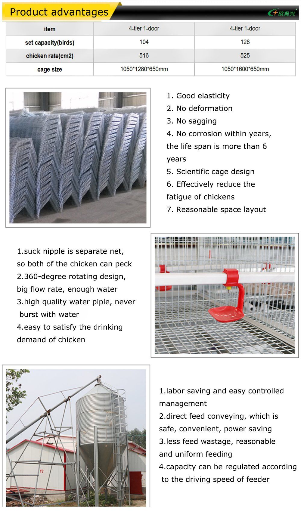 Dorking Breeding Cage Vertical Dairy Farm Equipment for Broilers Automatic Breeds of Chicken