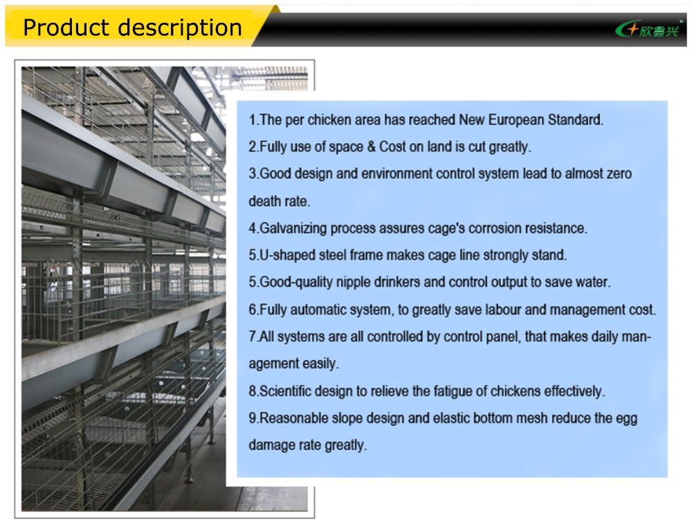 Dorking Breeding Cage Vertical Dairy Farm Equipment for Broilers Automatic Breeds of Chicken