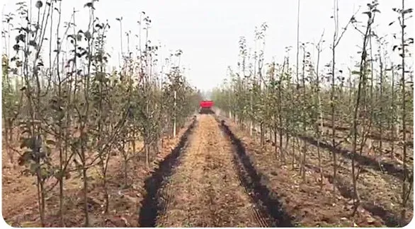 Double-Side Fertilizer Spreader Spreading Trailer