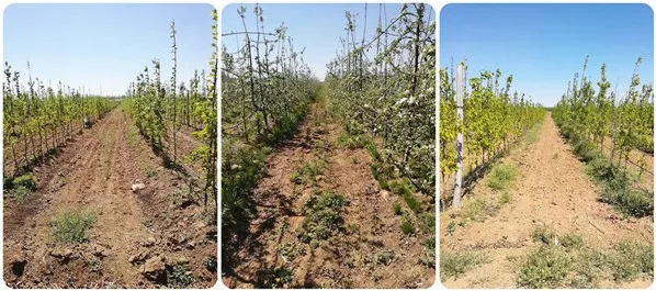 Double-Side Fertilizer Spreader Spreading Trailer