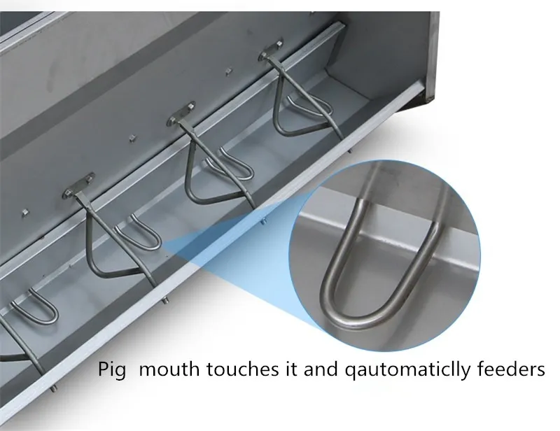 Double Size Stainless Steel Swine Fatten Feeder Pig Farm Trough