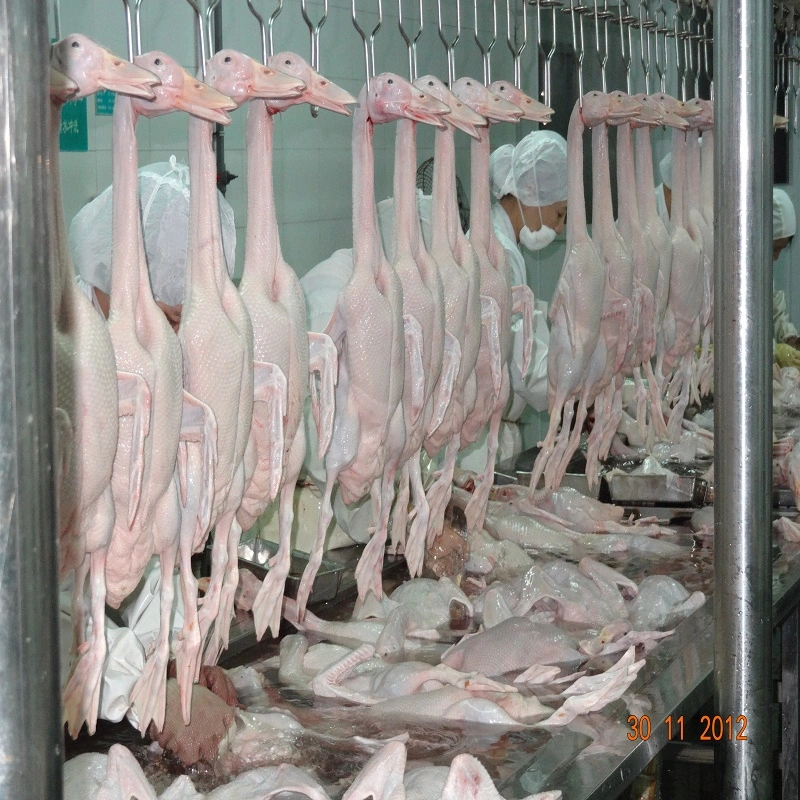 Duck Slaughter House Equipment for Poultry Farm Butcher Machine