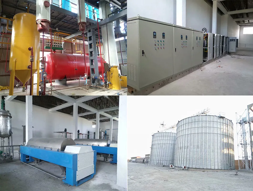 Edible Cooking Corn Germ Oil Squeezing Machine in Oil Production Plant