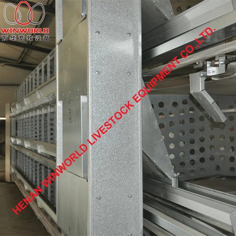 Ethiopia Poultry Farming H Type Male Female Breeder Chicken Cages with 140 Birds with Automatic Feed Machine