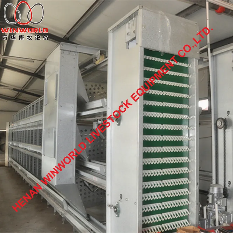 Ethiopia Poultry Farming H Type Male Female Breeder Chicken Cages with 140 Birds with Automatic Feed Machine