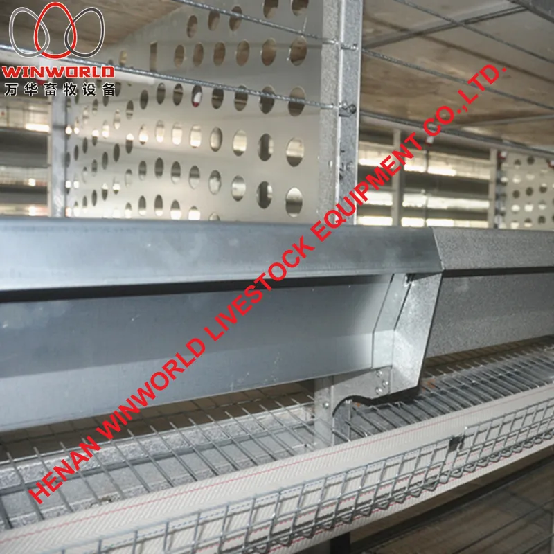 Ethiopia Poultry Farming H Type Male Female Breeder Chicken Cages with 140 Birds with Automatic Feed Machine
