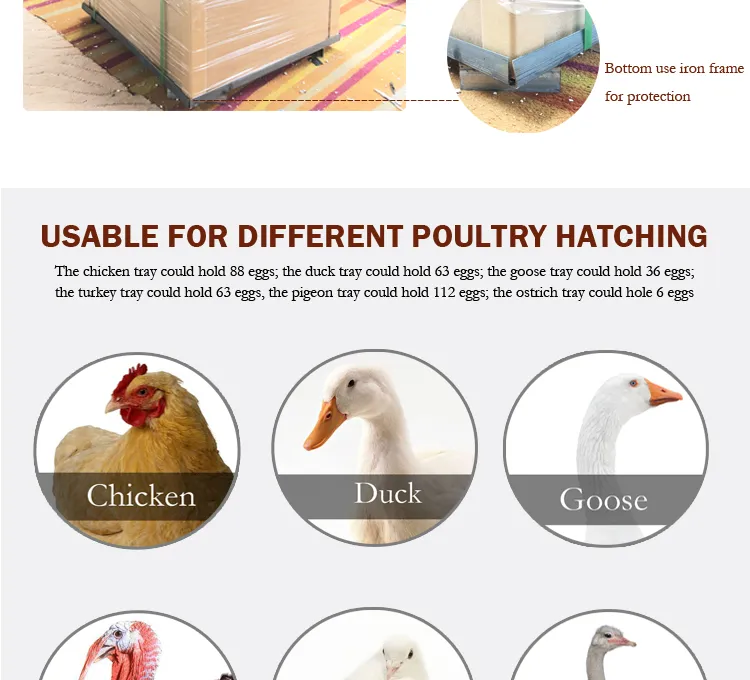 Factory Price Industrial Incubator Chicken Hatchery Machine Price