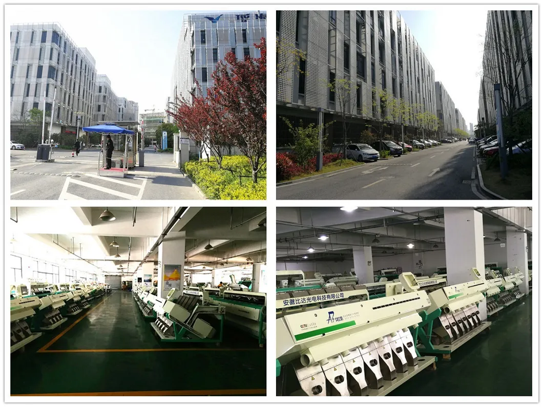 Factory Supply White Quinoa Color Sorter Machine