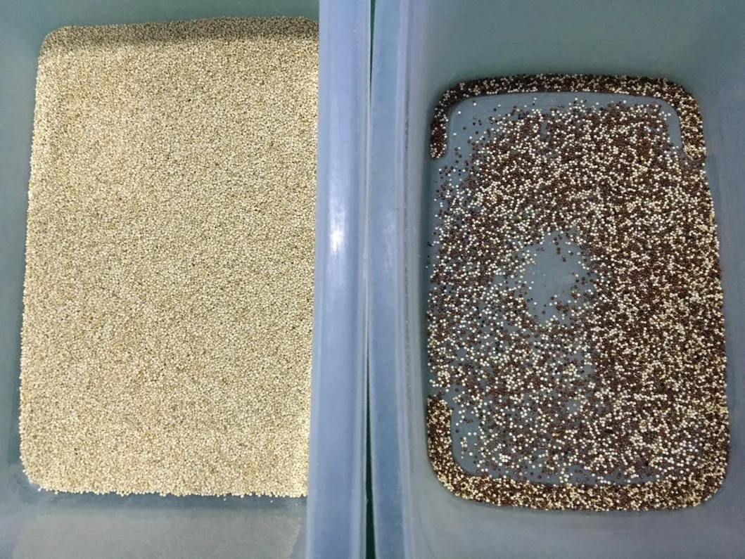 Factory Supply White Quinoa Color Sorter Machine