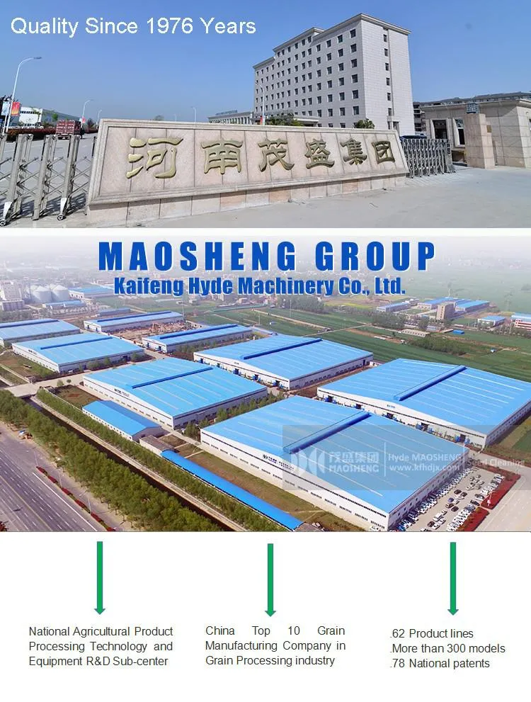 Farm Seed Processing Plant Cotton Seed Dressing Machine