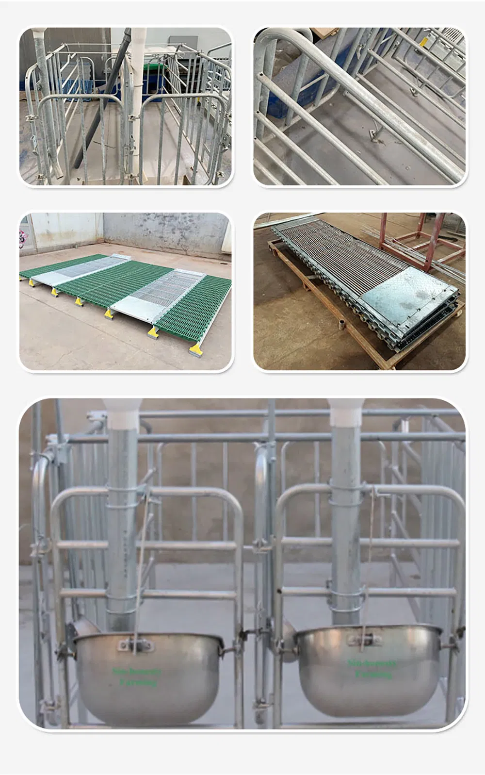 Farrowing Crate Pig Equipment Quail Cage/Stall Piggy Born for Pig Farm Hot DIP Galvanized