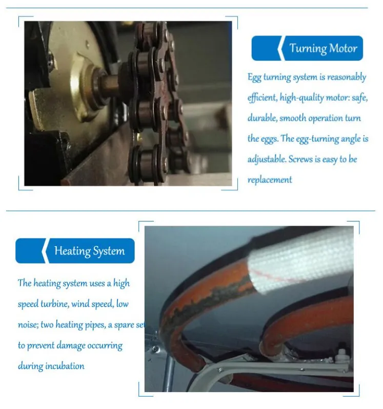 Full Automatic Holding 5280 Eggs Professional Egg Incubator (KP-25)