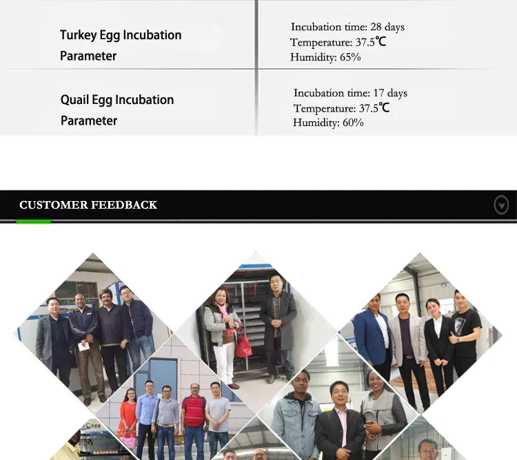 Full Automatic Quail Chicken 1000 Egg Incubators Price Wholesale