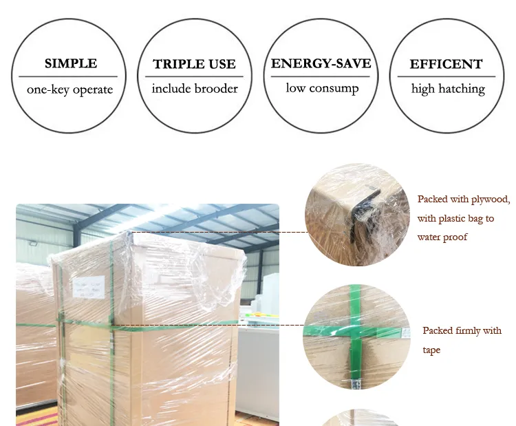 Full Automatic Quail Chicken 1000 Egg Incubators Price Wholesale